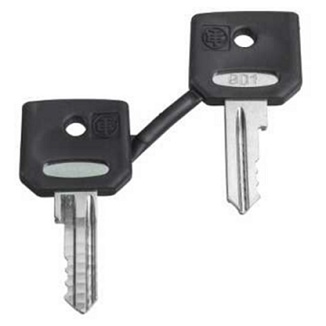 КЛЮЧИ ДЛЯ АВАРИЙНОЙ КНОПКИ, 2 ШТ. ZBG520E Schneider Electric