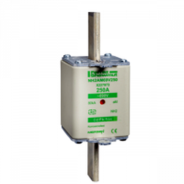 предохранитель тип AM,РАЗМЕР- 3.500А DF2KA1501 Schneider Electric