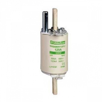 ПРЕДОХРАНИТЕЛЬ 0E AM 200 DF4GA1201 Schneider Electric