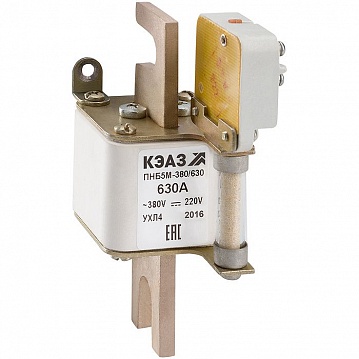 Предохранитель ПНБ5М-380/400-1-315А-УХЛ4 110831 КЭАЗ