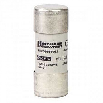 ПРЕДОХРАНИТЕЛЬ 22X58 GF 10A DF2FN10 Schneider Electric