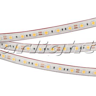 Лента RTW 2-5000PS 12V White 2x (5060, 300 LED, LUX) 022323 Arlight