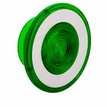 Кнопка Harmony 30 мм² IP66, Зеленый 9001G22 Schneider Electric