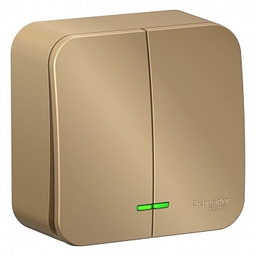 Выключатель 2-клавишный BLANCA, с подсветкой, открытый монтаж, титан BLNVA105114 Schneider Electric