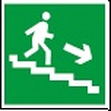 Знак безопасности BL-3015A.E13 Напр. к эвакуац. выходу по лестн. вниз (прав.) a12823 белый Свет