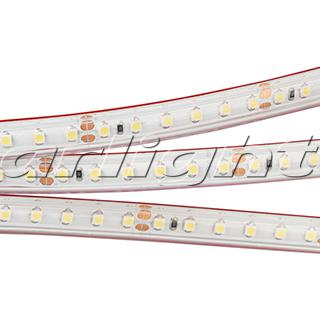Лента RTW 2-5000PS 24V White 2x (3528, 600 LED, LUX) 022321 Arlight
