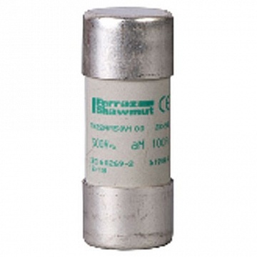 предохранитель тип АМ,РАЗМЕР 22Х58.25А DF2FA25 Schneider Electric