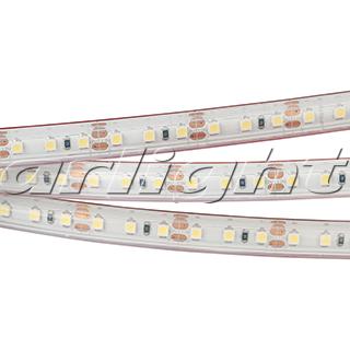 Лента RTW 2-5000PS 12V White 2x (3528, 600 LED, LUX) 022318 Arlight