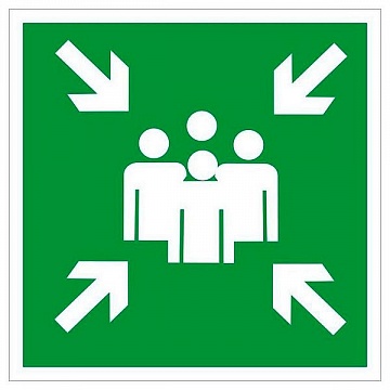 Знак безопасности BL-1515.E21 Пункт (место) сбора a13224 белый Свет