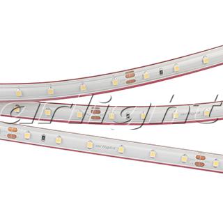 Лента RTW 2-5000PS-50m 24V Day4000 (3528, 60 LED/m, LUX) 024564 Arlight