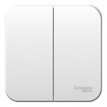 Выключатель 2-клавишный BLANCA, открытый монтаж, белый BLNVA105011 Schneider Electric