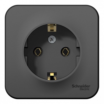 Розетка BLANCA, открытый монтаж, с заземлением, антрацит BLNRA010116 Schneider Electric