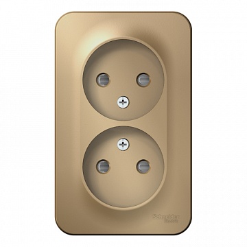 Розетка двухместная BLANCA, открытый монтаж, со шторками, титан BLNRA001204 Schneider Electric