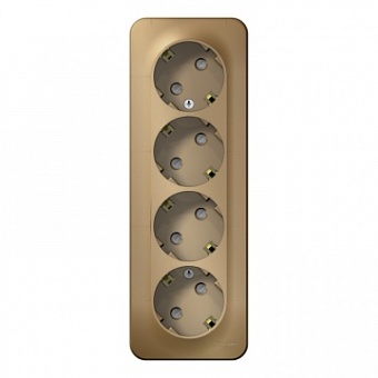 Розетка четырехместная BLANCA, открытый монтаж, с заземлением, со шторками, титан BLNRA011414 Schneider Electric