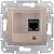 Розетка компьютерная 1xRJ45 Cat.5 SEDNA, титан SDN4300168 Schneider Electric