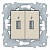 Розетка 2xUSB UNICA NEW, бежевый NU542744 Schneider Electric