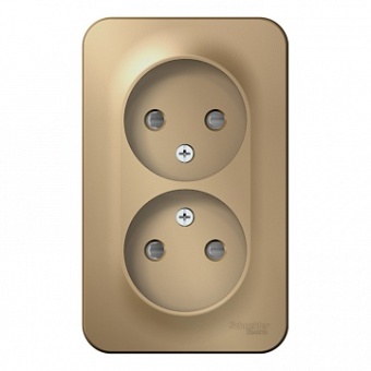 Розетка двухместная BLANCA, открытый монтаж, со шторками, титан BLNRA001204 Schneider Electric